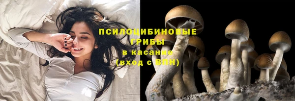 jwh Верея