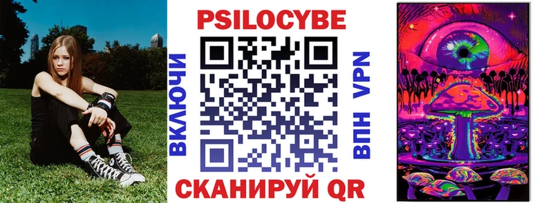 что такое   дарк нет клад  Псилоцибиновые грибы Cubensis  Афипский 
